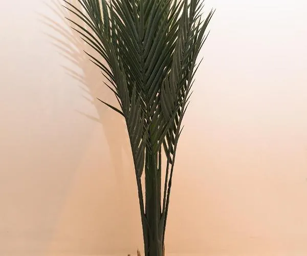 Leeds Lodge 度假居 利兹